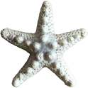 Luca