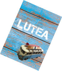 Lutea
