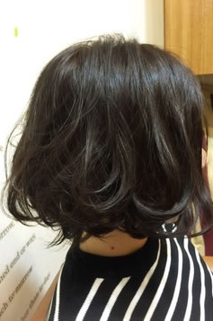 ブリーズボブ